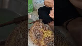 Kathal Ko kaatne Ka Tarika jackfruit short Paka Hua Kathal [upl. by Eiuqnom]