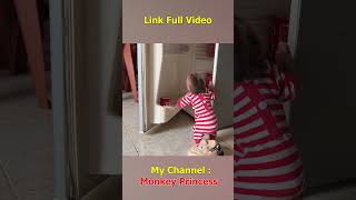 Monkey NANA prepares food to leave monkey shorts smartmonkey babymonkey monkeybaby monkeylove [upl. by Naujit]