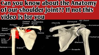 anatomy of shoulder joint  anatomy of shoulder ligaments  movements and bones [upl. by Solrak]