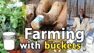 Farming with 5 Gallon Buckets [upl. by Marieann]