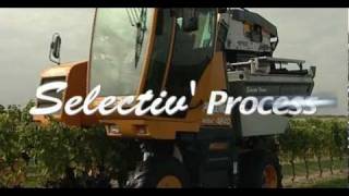 Selectiv Process Pellenc Harvester [upl. by Brest]