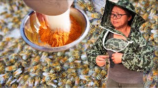 Traditional Bee Farming  Recipes with Freshly Harvested Honey China Rural Life [upl. by Alin345]