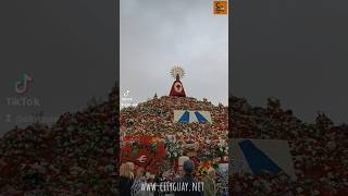 Así es la Ofrenda de flores en honor a la virgen del Pilar en Zaragoza 🇪🇸 [upl. by Previdi]