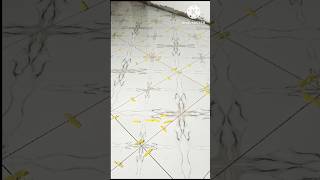 Room Tiles Design♦♦🔵🔵 with spacers 🏠♦♦ youtubeshorts shortsviral [upl. by Paxton]