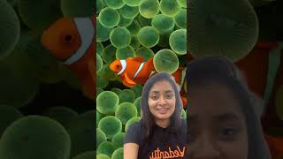 Finding Nemo is Scientifically Incorrect What are Sequential Hermaphrodites  NEET 2023 shorts [upl. by Zephan]