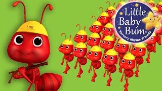 Peek a Boo  🐜 The Ants Go Marching  Best Kids Songs and Nursery Rhymes  LooLoo Kids [upl. by Kory705]