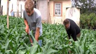 Life on Bethany Farm Langkloof  Trailer [upl. by Etteniotnna291]