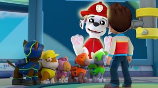 Paw Patrol Mighty Pups Goodbye Marshall [upl. by Beaufort]