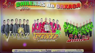 Veloz De La Sierra ft Grupo Tronador ft Los Rayos De Oaxaca  Puras Chilenas de Oaxaca Para Bailar [upl. by Rehpotsirhc928]