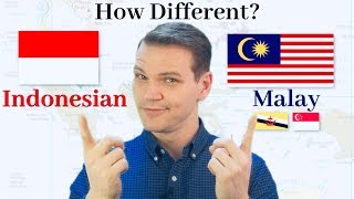 How Different Are Indonesian and Malay [upl. by Anatollo]