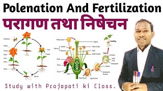 परागण तथा निषेचन  Pollination and Fertilization  types of pollination biology  botany [upl. by Joashus137]