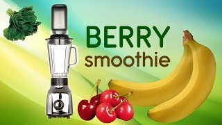 Berry smoothie in Tribest personal vacuum blender glass PBG5050 Ambiente show ENG [upl. by Kaya]