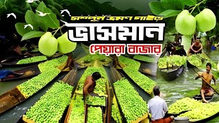 Vasoman Peyara Bazar in Bangladesh । ভাসমান পেয়ারা বাজার । Biggest Floating Market In BD । RK Vlogz [upl. by Ahsenaj]