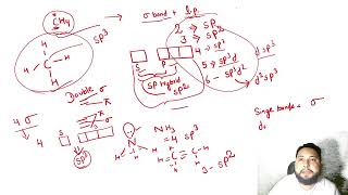 Hybridization class 11th [upl. by Drewett]