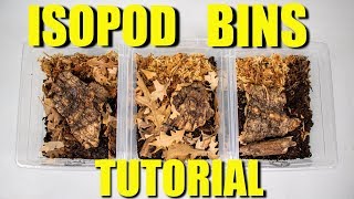 MAKING BINS FOR YOUR ISOPODS  How to culture Isopods [upl. by Tiffi]