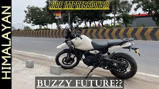 Himalayan 450 RIDE IMPRESSIONS  SHERPA ENGINE  2024  Is it refined [upl. by Gallager]