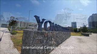 Yonsei University Songdo International Campus 연세 대학교송도 Tour UHD [upl. by Remle]