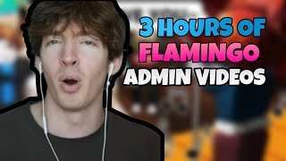 3 Hours Of Flamingo Admin Videos [upl. by Eimareg451]