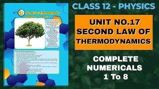 XII Physics Solved Numericals  Ch 17 Second Law of Thermodynamics [upl. by Bunch]