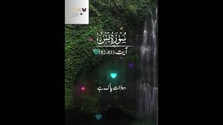 SuraYaseen8283 quranismylife subscribe subscribemychannel love quranrecitation surahyaseen [upl. by Dorise]