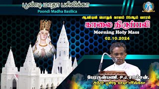 🔴Live  Holy Mass  02102024  Fr PJ Samson Rector amp Parish Priest  Poondi Madha Basilica [upl. by Akisey976]