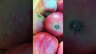 Apple🍎🍏Fresh Came For ULets EnjoyHousehold Farm1Apple Save From DrVitamins SourceEnergyBooster [upl. by Sussna]