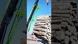 Loading pile of wood crane lifting [upl. by Natlus]