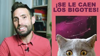 ¿Por qué se le caen los bigotes a mi gato [upl. by Nilo478]