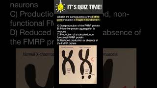 What is the consequence of the FMR1 gene mutation in Fragile X Syndrome [upl. by Diva]