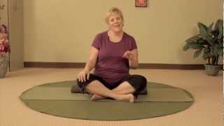 Coming Back from Back Surgery  Gentle Yoga Back Stretches for Every Body [upl. by Pontias]