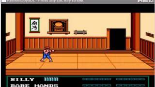 Double Dragon III on PSPNesterJ NES Emulator and RemoteJoy [upl. by Lisan]