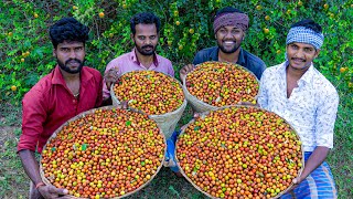 jujube fruits harvesting shorts fruitharvesting jujube [upl. by Mariano]