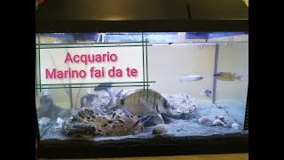 Acquario Marino fai da te semplice e veloce [upl. by Chlori]