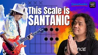 This Scale is SANTANIC Carlos Santana Guitar Style Masterclass [upl. by Gonzalez727]