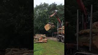 brennholz firewood wood woodworking brandhout shortvideo boisdechauffage shorts short [upl. by Atoked]