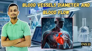 Blood vessels and diameter of blood flow influence blood pressure  CVS 11 [upl. by Alin19]