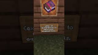 Enchantments for Chestplate tips forbegginer [upl. by Banquer589]