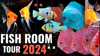 discus fish  angelfish  fish room tour  german blue rams [upl. by Dlorag]