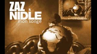 Zaz ft Nidle  Mon songe Serbian Translation [upl. by Yadsnil]