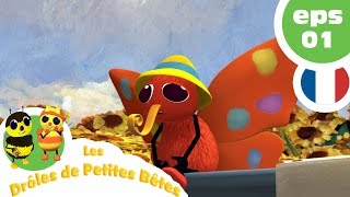 DRÔLES DE PETITES BÊTES  EP01  Le bel inconnu volant [upl. by Assener]