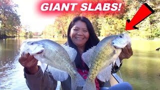 S08E47 Giant Slabs Late October Cypress Swamp [upl. by Nuj754]