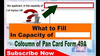 What to write in Capacity of coloumn of Pan Card form 49A  Simplified in Hindi [upl. by Ellenid253]