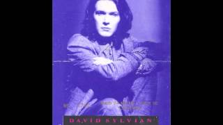 David Sylvian  LIVE IN THEATRE  1988  FULL CONCERT [upl. by Alfonzo909]