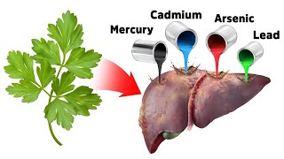 The Best Strategy for Detoxifying Heavy Metals SAFELY [upl. by Ilesara290]