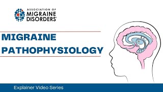 Migraine Pathophysiology  Chapter 3  Migraine Explainer Video Series [upl. by Aihsenor]