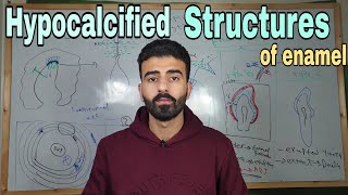 Enamel 4  hypocalcified structures of enamel  oral histology [upl. by Rosemonde952]