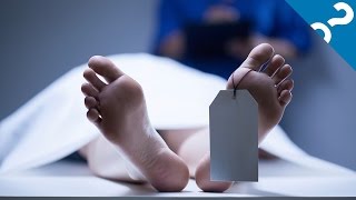 5 Gross Things That Happen When You Die  What the Stuff [upl. by Shell]