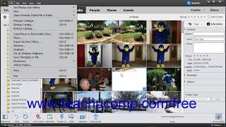 Photoshop Elements 2019 Tutorial Managing Files in the Organizer Adobe Training [upl. by Kasevich857]