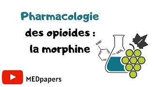 💡Pharmacologie  les opioïdes la morphine❓ [upl. by Gerita365]