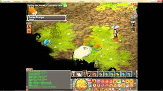 Tutoriel Dofus Donjon des Larves [upl. by Ttenaj]